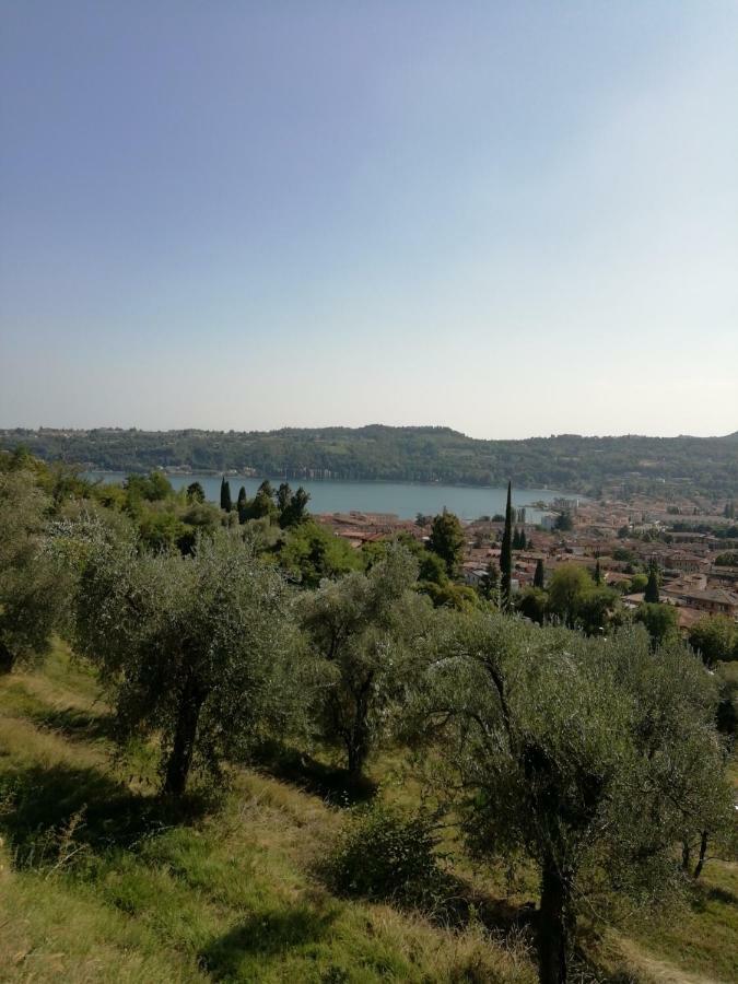 Agriturismo Podere Nigriano Salo Exterior photo